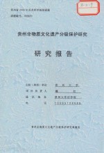 贵州非物质文化遗产分级保护研究  研究报告