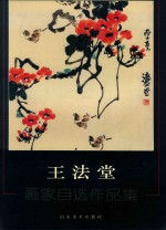 王法堂 画家自选作品集