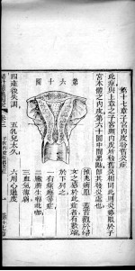 妇科精蕴图说 卷3