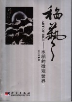 稻艺:水稻的微观世界