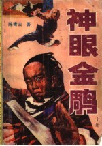 神眼金雕 上