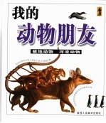 我的动物朋友 极地动物 河流动物