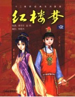 红楼梦 1