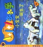 小宝宝诞生了