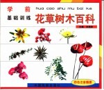 学前基础训练 花草树木百科