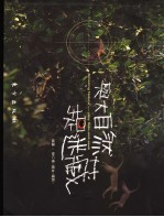 与大自然捉迷藏