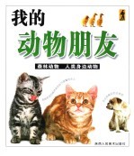 我的动物朋友 森林动物 人类身边动物