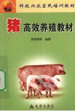 猪高效养殖教材