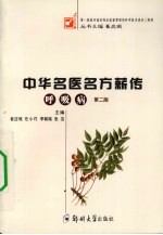 中华名医名方薪传 呼吸病