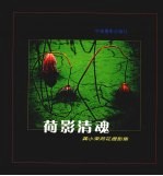 荷影清魂:龚小荣荷花摄影集