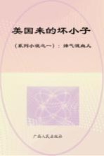 美国来的坏小子