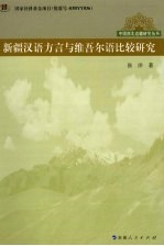 新疆汉语方言与维吾尔语比较研究