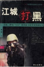 江城打黑 吉林、桦甸“4.15”系列暴力犯罪案侦破纪实