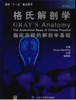 格氏解剖学 临床实践的解剖学基础