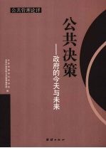 公共决策:政府的今天与未来