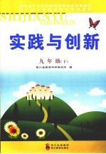 实践与创新 九年级(下册)