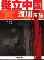 挺立中国：汶川诗抄