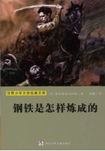 钢铁是怎样炼成的