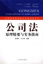 公司法原理精要与实务指南