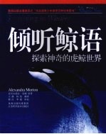 倾听鲸语:探索神奇的虎鲸世界