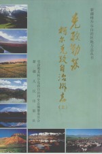 克孜勒苏柯尔克孜自治州志 上