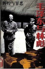 辉煌与罪恶:毛泽东与林彪 下