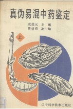 真伪易混中药鉴定 上