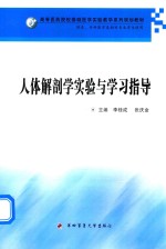 人体解剖学实验与学习指导