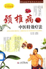 常见病症中医特效疗法丛书 颈椎病中医特效疗法