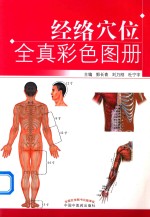 经络穴位全真彩色图册