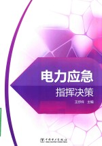 电力应急指挥决策