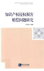 知识产权侵权损害赔偿问题研究