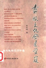 彝族文化发展管窥
