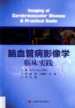 脑血管病影像学临床实践