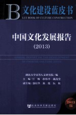 中国文化发展报告 2013