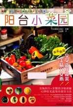 最实用的蔬果盆栽 阳台小菜园