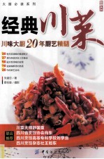 经典川菜 川味大厨20年厨艺精髓