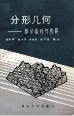 分形几何 数学基础与应用