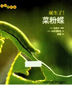 诞生了!菜粉蝶