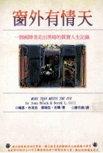 窗外有情天:一个视障者走出黑暗的真实人生记录