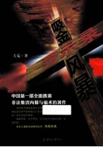 吸金风暴警示录