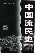 中国流民史 现代卷