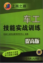车工技能实战训练 提高版