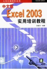 中文版Excel 2003实用培训教程