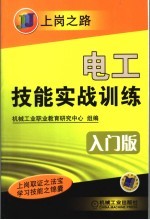 电工技能实战训练 入门版