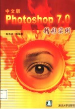 中文版Photoshop 7.0精彩实例