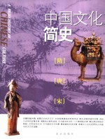 中国文化简史 隋·唐·宋卷