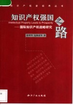 知识产权强国之路 国际知识产权战略研究