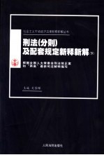 刑法(分则)及配套规定新释新解 下