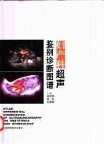 妇产科超声鉴别诊断图谱